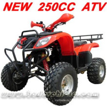 250CC ATV QUAD